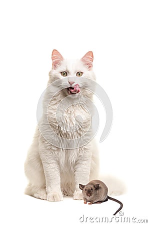 Hungry cat with a mouse realising its in trouble Stock Photo