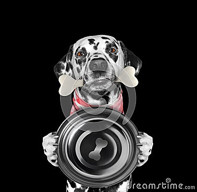 Hungry dalmatian dog with food bowl and bone in his mouth. Isolated on black Stock Photo