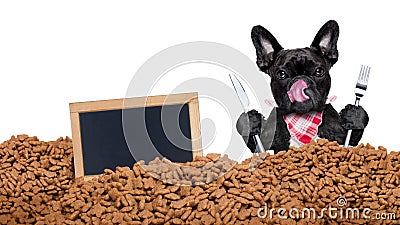 Hungry dog behind mound food Stock Photo