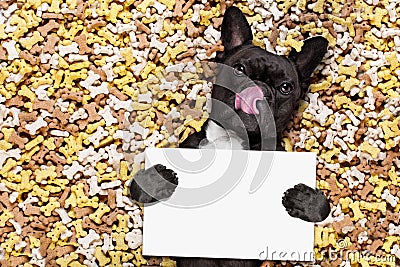 Hungry dog in big food mound Stock Photo