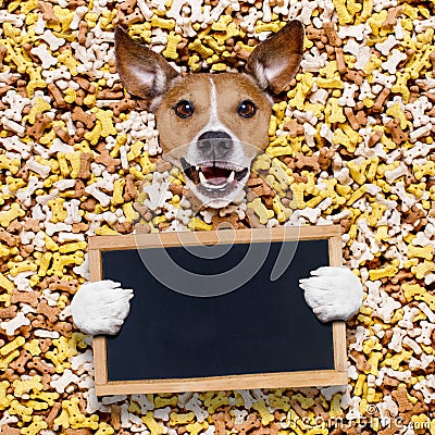 Hungry dog in big food mound Stock Photo