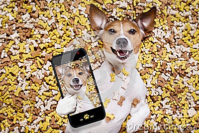 Hungry dog in big food mound Stock Photo