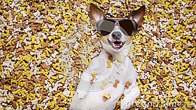 Hungry dog in big food mound Stock Photo