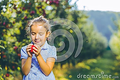 Hungry female kid is ready to taste an autumnal apple, enjoying annual harvest in apple-trees garden. Stock Photo