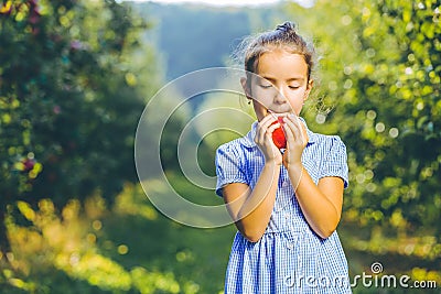 Hungry female kid is ready to taste an autumnal apple, enjoying annual harvest in apple-trees garden. Stock Photo