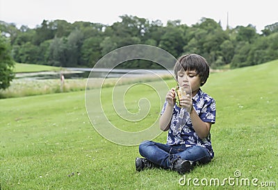 Hungry kid boy eating homemade bread sandwiches with mixed vegetables, Child siting on green grass eating his snack picnic in the Stock Photo