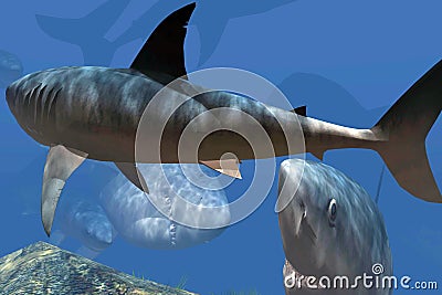 Hungry sharks in the caribbean sea Stock Photo