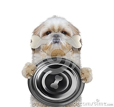 Hungry shitzu dog with food bowl and bone in his mouth. Isolated on white Stock Photo