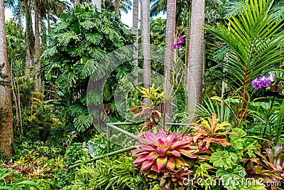 HunteÂ´s Botanical Garden on the Caribbean island of Barbados. It is a paradise destination with a white sand beach and turquoiuse Stock Photo