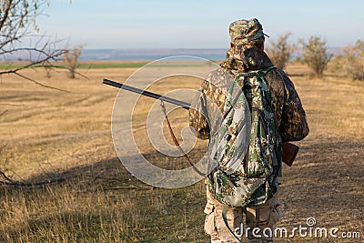 Hunter with a gun and german drathaar. Pigeon hunting with dogs. Stock Photo