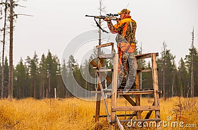 Hunter and his elkhound outdoor - hunting season Stock Photo