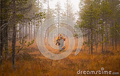 Hunter and his elkhound outdoor - hunting season Stock Photo