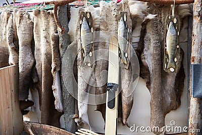 Hunter skis, fish and reindeer skins Stock Photo