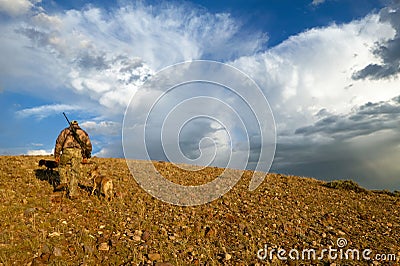 Hunter walking through field with dog for hunting Stock Photo