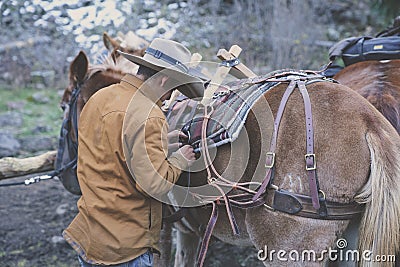 Hunters gear up and saddle up horses to pack out after an elk hunting trip Editorial Stock Photo
