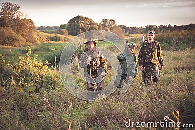 Hunters going through tall garass in rural field at dawn during hunting season Stock Photo