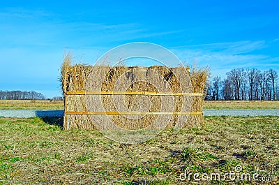 Hunting Blind Stock Photo