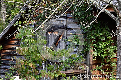 Hunting cabin Stock Photo