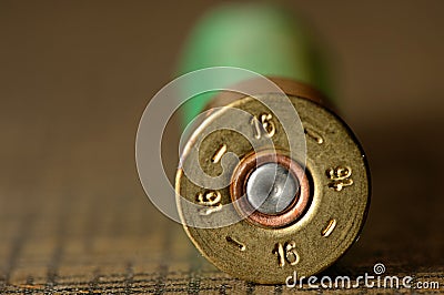 Hunting cartridges for shotgun 16 caliber Stock Photo