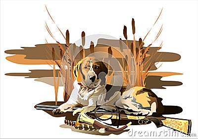 Hunting dog. (Vector) Stock Photo