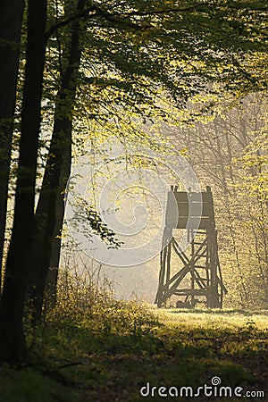 Hunting hide. Stock Photo