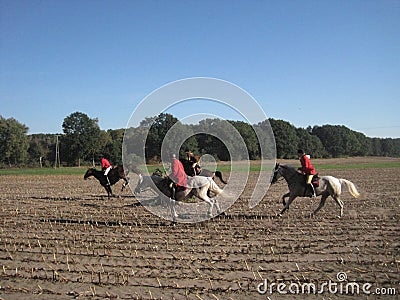 Hunting with horses. Stock Photo