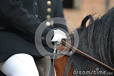 Hunting with horses, a woman on her steed ready for a day& x27;s hunting. Stock Photo