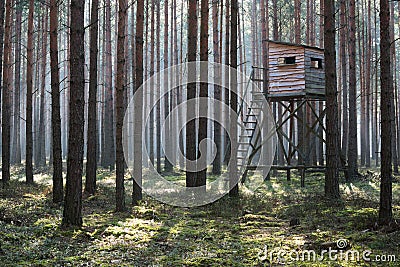 Hunting pulpit. Stock Photo