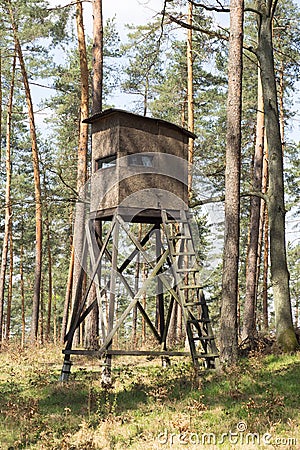 Hunting pulpit standing in forest Stock Photo