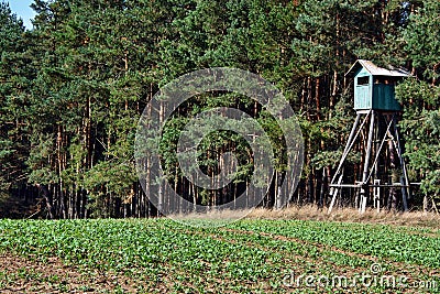 Hunting pulpit Stock Photo