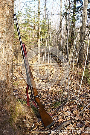 Hunting Rifle Stock Photo