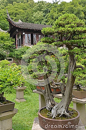 Huqiu Mountain bonsai garden, Shuzhou, China Stock Photo