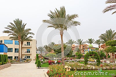 Egyptian garden with flowers in hotel Seagull Beach Resort Editorial Stock Photo