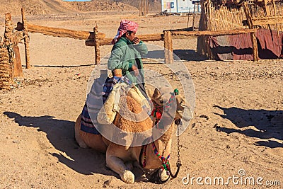 Egyptian boy near a camel in bedouin village in the Arabian desert near Hurghada, Egypt Editorial Stock Photo