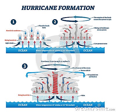 Hurricane formation labeled vector illustration. Educational wind storm air Vector Illustration