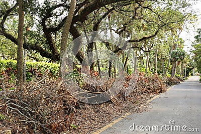 Hurricane Irma debris Stock Photo