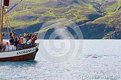 Husavik, Iceland - July, 2008: Whale watching Editorial Stock Photo