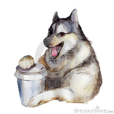 The husky dog with cup of coffee, watercolor illustration Cartoon Illustration