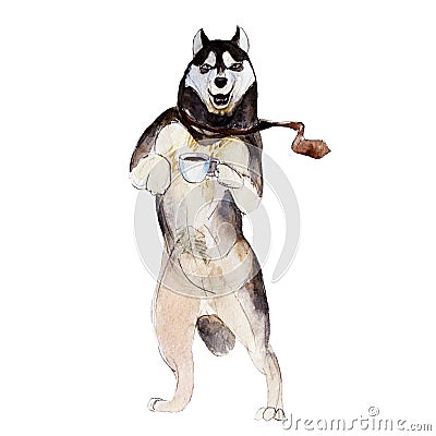 The husky dog with cup of coffee, watercolor illustration Cartoon Illustration