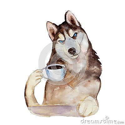 The husky dog with cup of coffee, watercolor illustration Cartoon Illustration