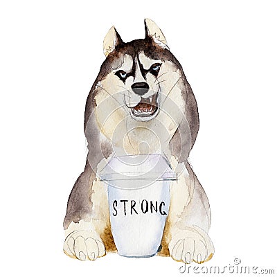 The husky dog with cup of coffee, watercolor illustration Cartoon Illustration