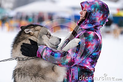 Husky dog hugs with a beautiful girl. Winter outdoor walking - Reshetiha, Russia - 02.02.2019 Editorial Stock Photo