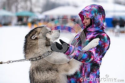 Husky dog hugs with a beautiful girl. Winter outdoor walking - Reshetiha, Russia - 02.02.2019 Editorial Stock Photo
