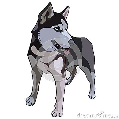 Husky dog painted Vector Illustration