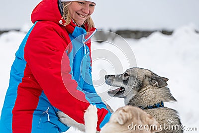 Husky dog playing with girl. Winter outdoor walking. Happy woman with pets. - Reshetiha, Russia - 02.02.2019 Editorial Stock Photo