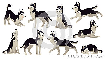 Husky dog poses. Cartoon running, sitting and jumping dogs. Active huskies animal characters isolated vector set Vector Illustration