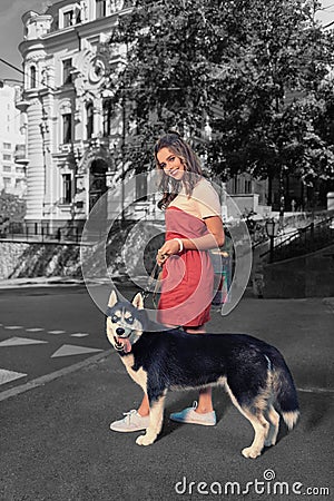 Smiling student feeling amazing while walking in the center with her husky dog Stock Photo