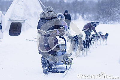 Husky dogs in a team ride people on a sleigh.Sled dogs in winter Editorial Stock Photo