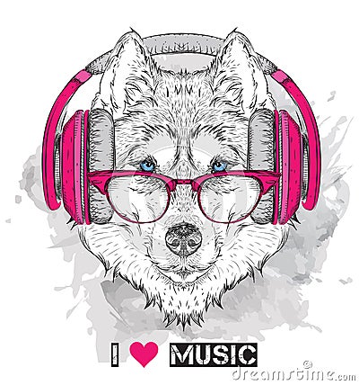 Husky in glasses and headphones. Vector illustration. Vector Illustration