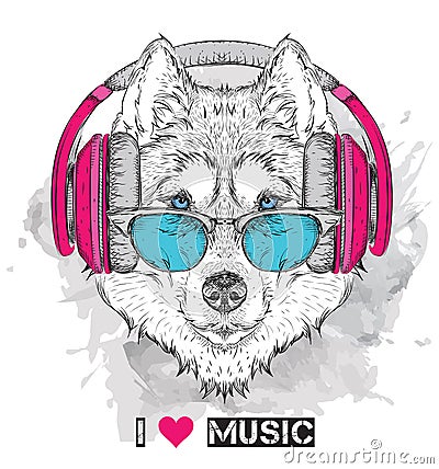 Husky in glasses and headphones. Vector illustration. Vector Illustration